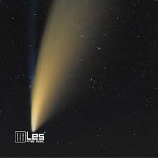 HK music star - Christmas