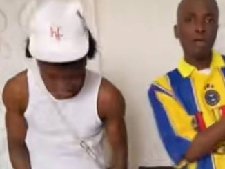 Small doctor - Wonderful