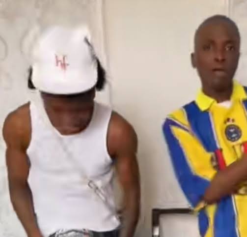 Small doctor - Wonderful