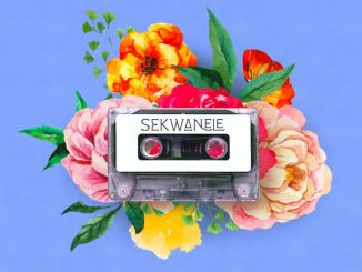 Pexi-Tonic SA - Makukhanye indlela
