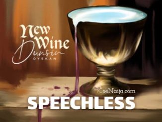 Dunsin Oyekan - SPEECHLESS