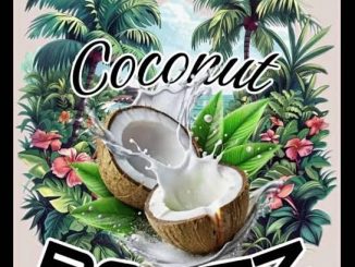 Coconut Rootz - Road To Zion