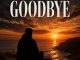 Levelz UP - GOODBYE
