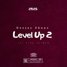 Deejay Shane - Level Up 2