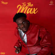 Maxee - Perfect design