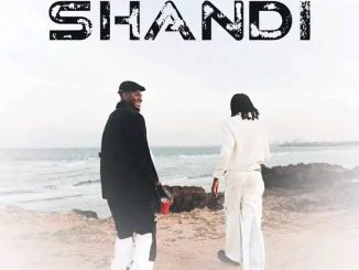 Jay Rox - Shandi