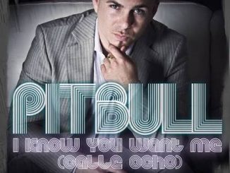 Pitbull - I know you want me (Calle ocho)