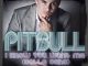 Pitbull - I know you want me (Calle ocho)