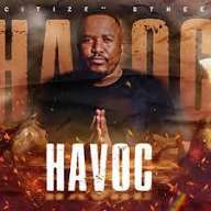 Citizen Sthee - Havoc (Groove Mix)