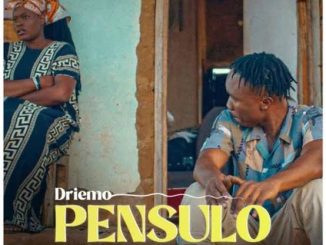 Driemo Mw – PENSULO