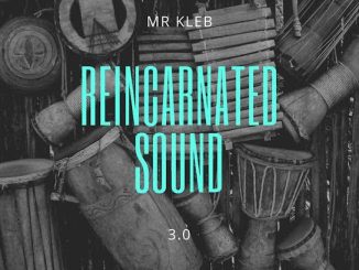 Mr Kleb - Reincarnated sound 3.0