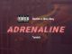 Ratlin x Boy Boy - Adrenaline (Remix)