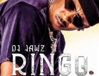 DJ Jawz - Ringo