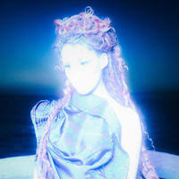 Absolutely - No Audience