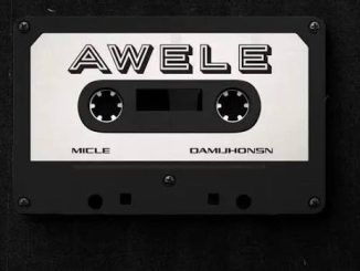 Micle & Damijhonsn - Awele