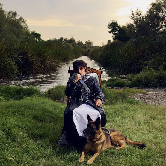 Mishaal Tamer - LOVE ME LOVE