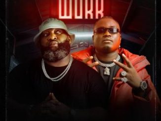 Evado - Work ft. Slowdog