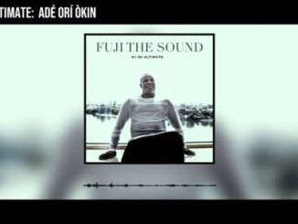 K1 De Ultimate - Ade Ori okin
