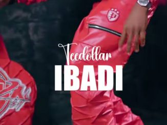 Tee Dollar - Ibadi