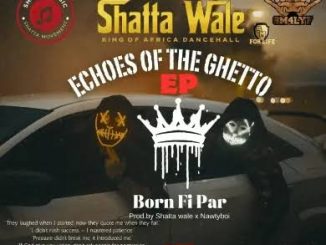 Shatta Wale - Lonely victory