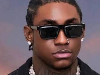 Shallipopi - Let's go