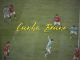 Paul Cleverlee - Cunha Bruno