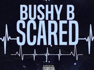 Bushy B – Scared (Sped Up)