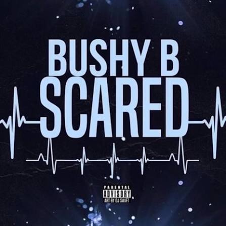 Bushy B – Scared (Sped Up)