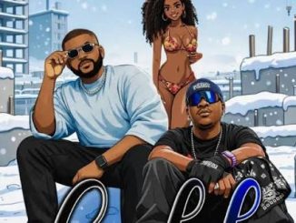 Damzkit & Laime – COLD