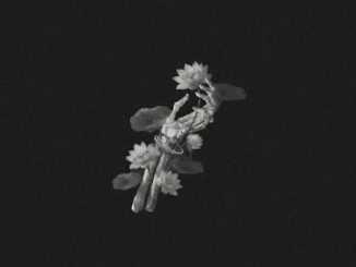 John Michael Howell - A Thousand Years