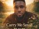 MS Films - Carry Me Small