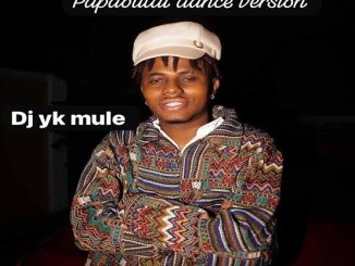 DJ Yk Mule - Papaoutai (Dance)