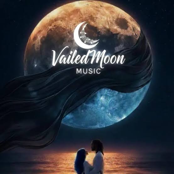 Valiedmoon music - Not ready yet