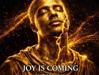 Victor Ivyic - Joy Is Coming