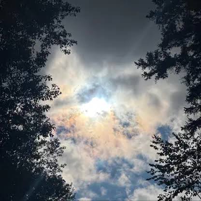 Ingarose - Feeling Good Today