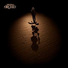 Matt Hansen - VISION