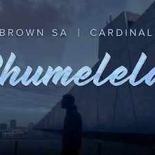 Cardinal X25 x MR BROWN SA - Phumelela