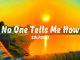 SOLPULSE - No One Tells Me How