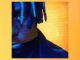 Chris Brown - Present
