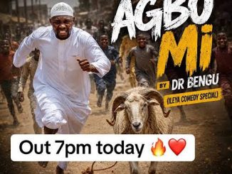 Dr Bengu – Agbo Mi