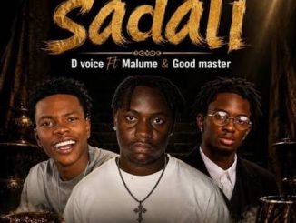 D Voice - Sadali