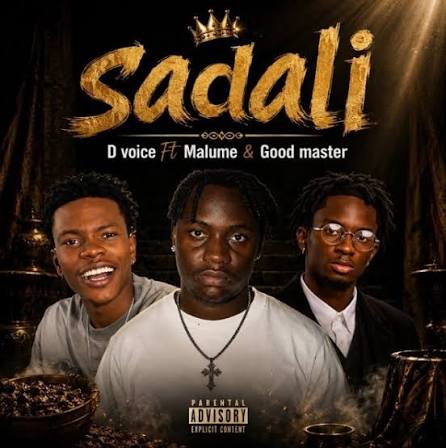 D Voice - Sadali